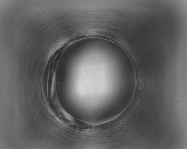 X0000077310485200610271647