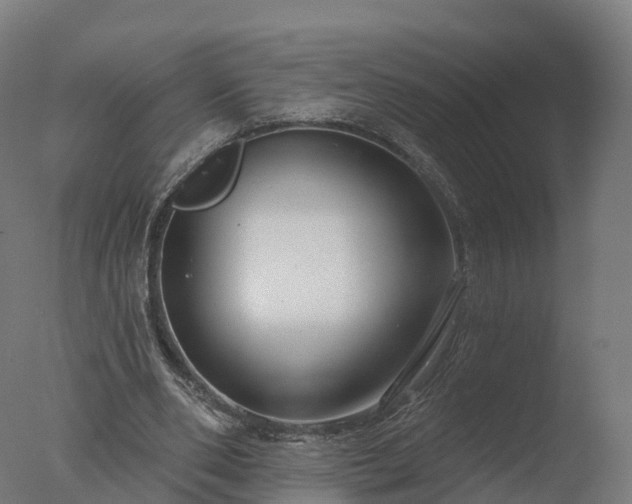 X0000077310486200610271647