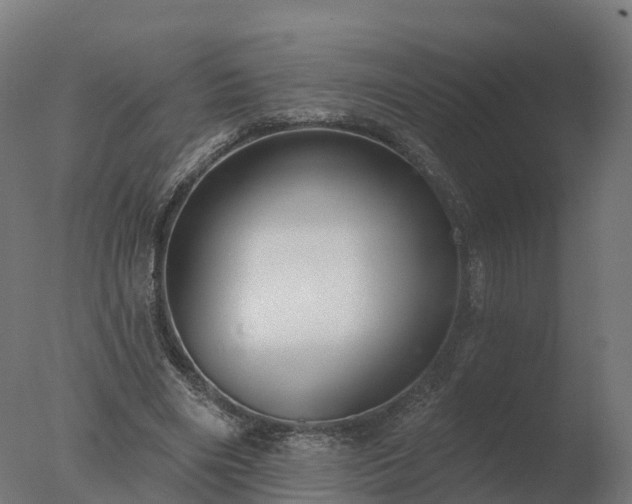 X0000077310490200610271647