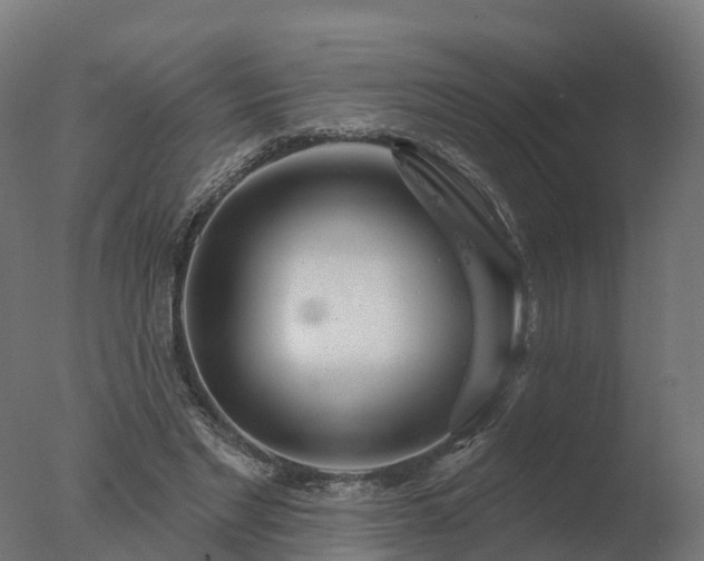 X0000077310493200610271647