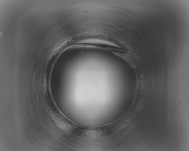 X0000077310494200610271647