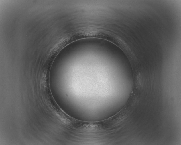 X0000077310497200610271647