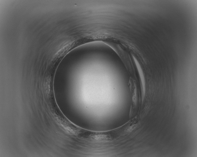 X0000077310501200610271647