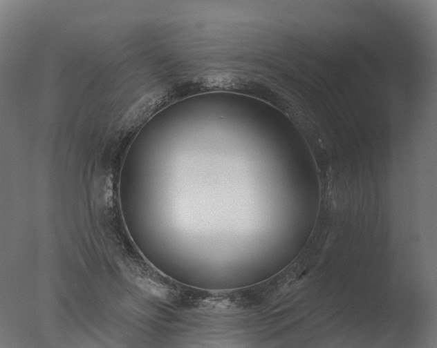 X0000077310502200610271647