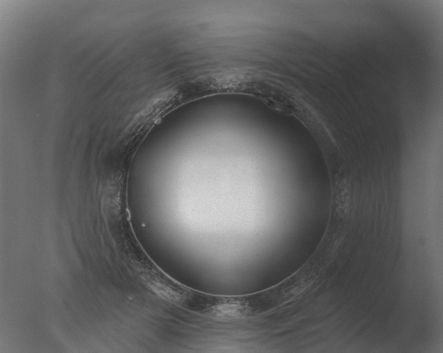 X0000077310505200610271647