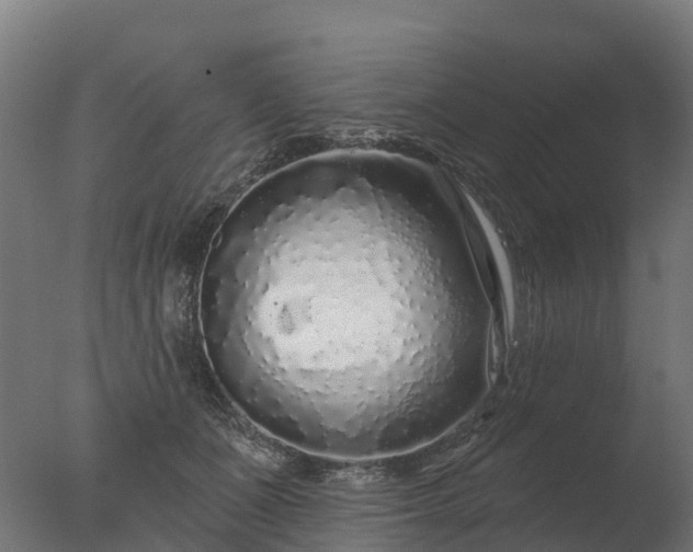X0000077310511200610271647