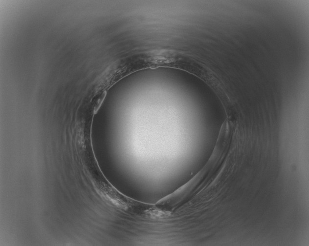 X0000077310512200610271647