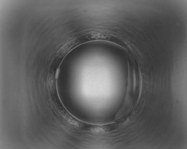 X0000077310513200610271647
