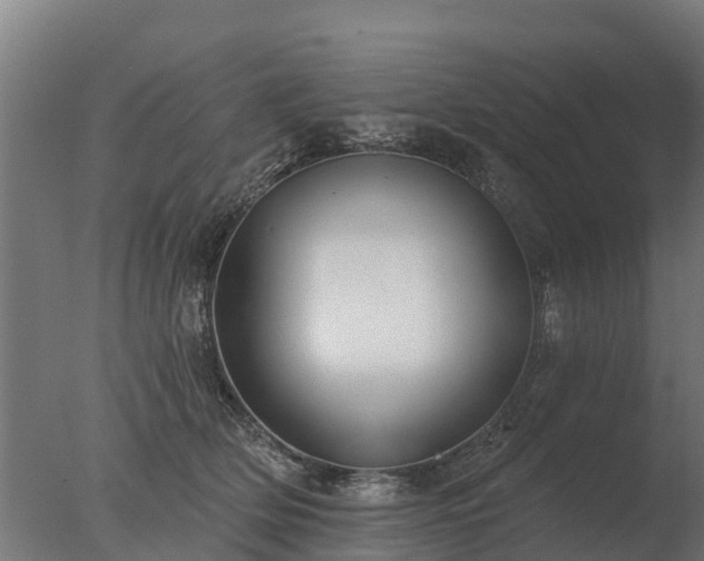 X0000077310514200610271647