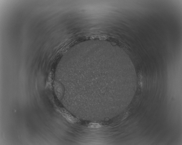 X0000077310519200610271647
