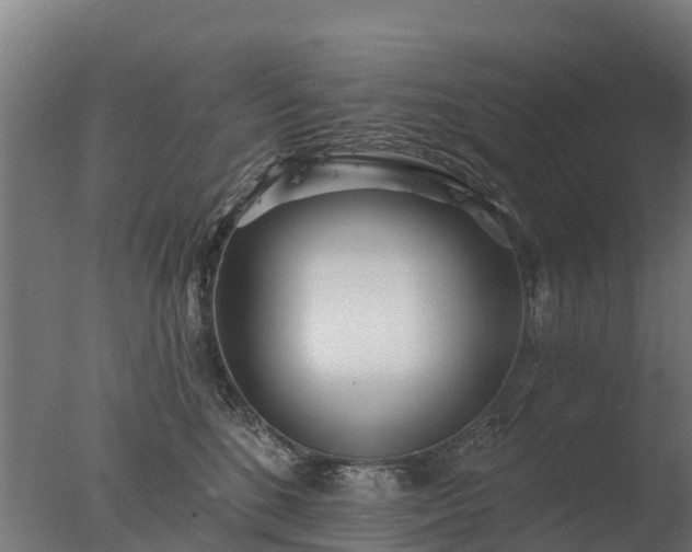 X0000077310520200610271647