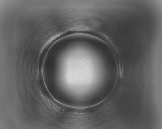 X0000077310531200610271646