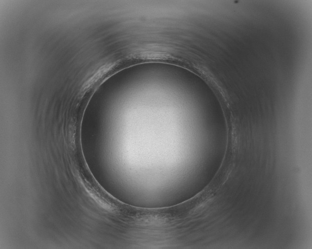 X0000077310533200610271646