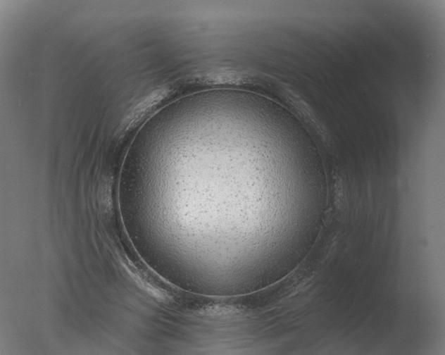 X0000077310537200610271646