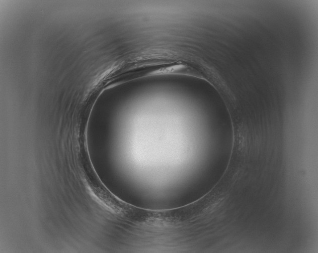 X0000077310538200610271646