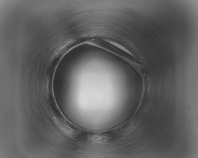 X0000077310542200610271646
