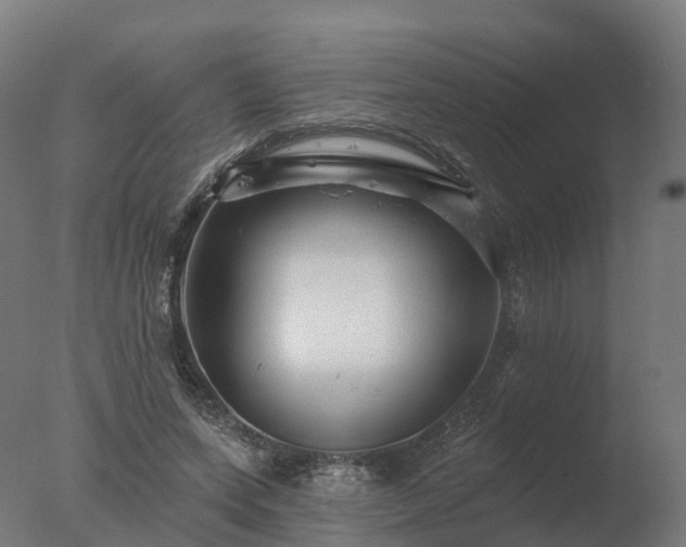 X0000077310543200610271646