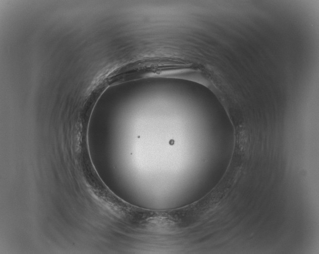 X0000077310544200610271646