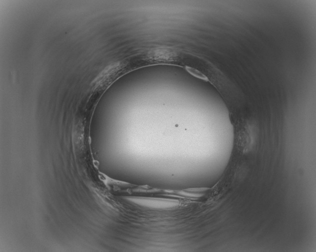 X0000077310552200610271646