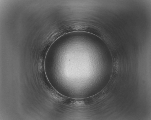 X0000077310554200610271646