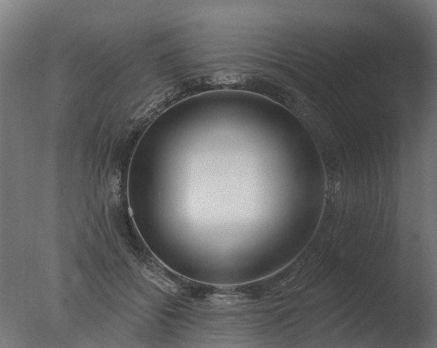 X0000077310556200610271646