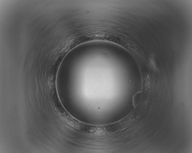 X0000077310559200610271646