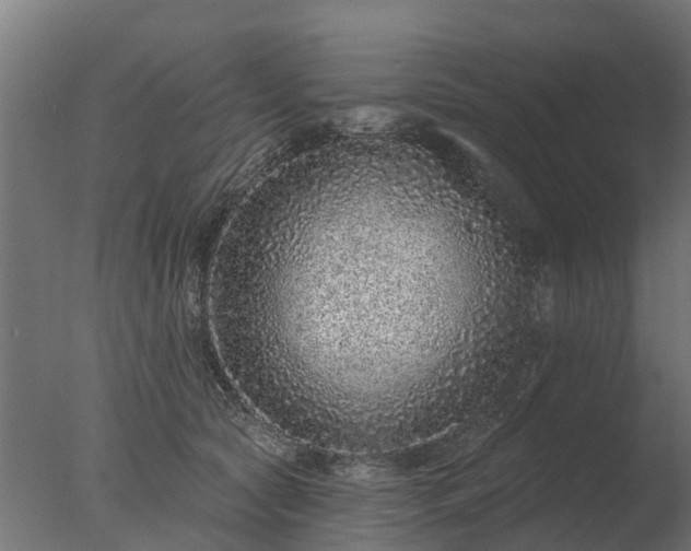 X0000077310561200610271646