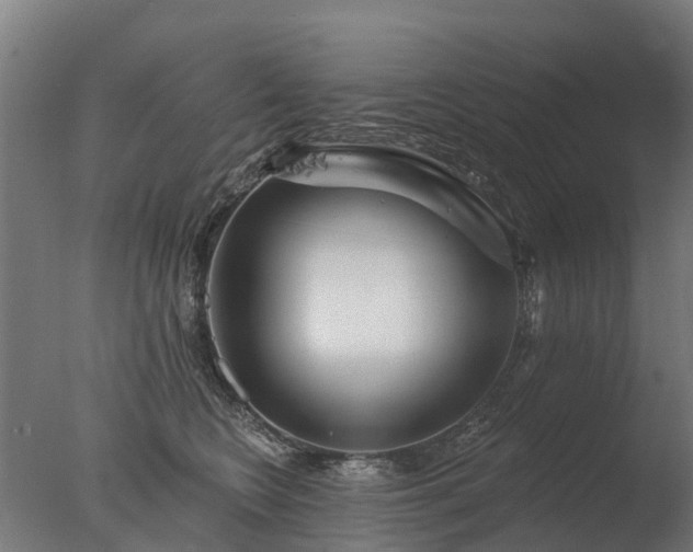 X0000077310566200610271646