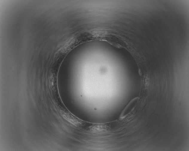 X0000077310567200610271646