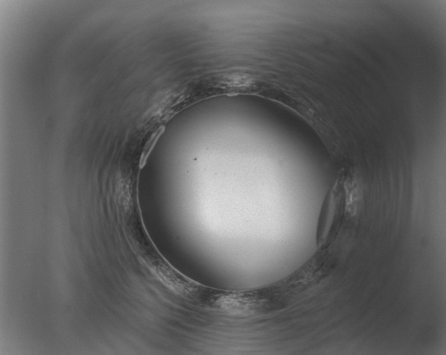 X0000077310568200610271646