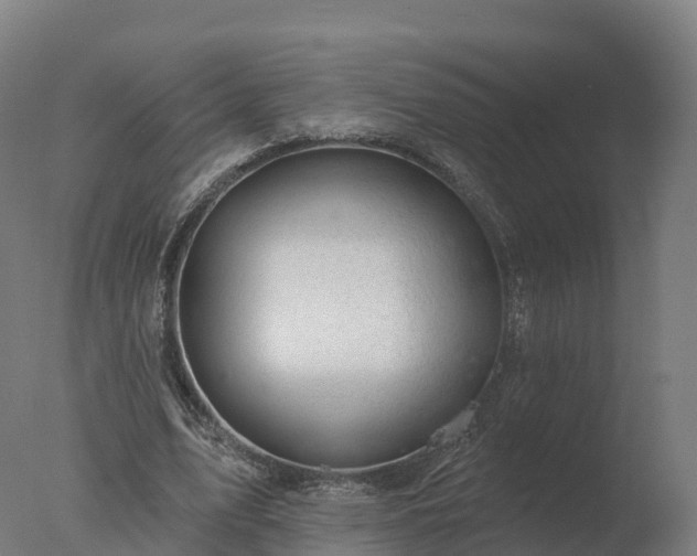 X0000077310583200610271646