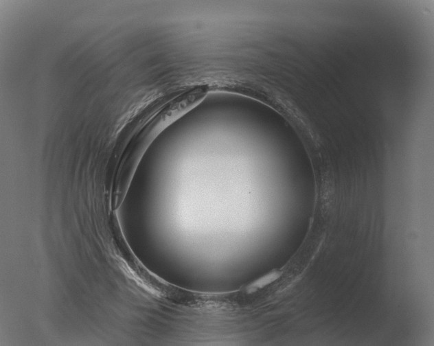 X0000077310585200610271646