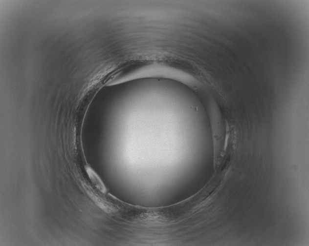 X0000077310589200610271646