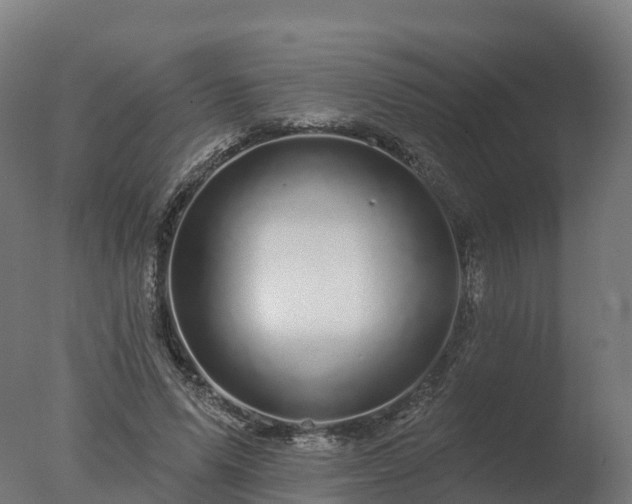 X0000077310591200610271646