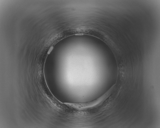 X0000077310593200610271646