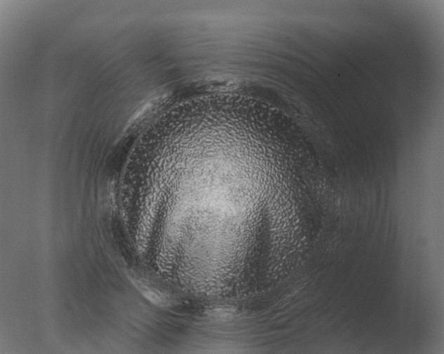 X0000077310598200610271645