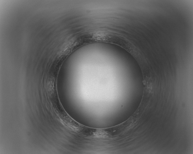 X0000077310603200610271645