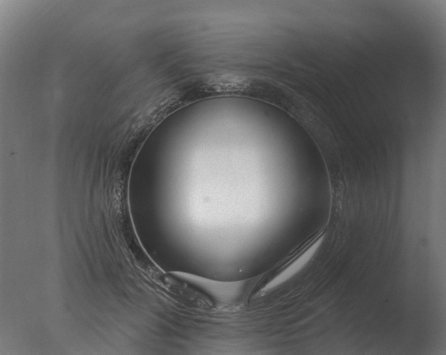 X0000077310604200610271645