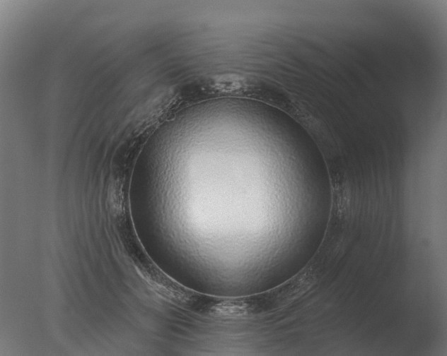 X0000077310606200610271645