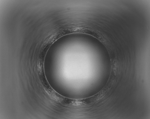X0000077310607200610271645