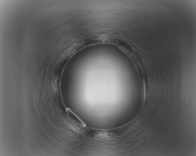 X0000077310611200610271645