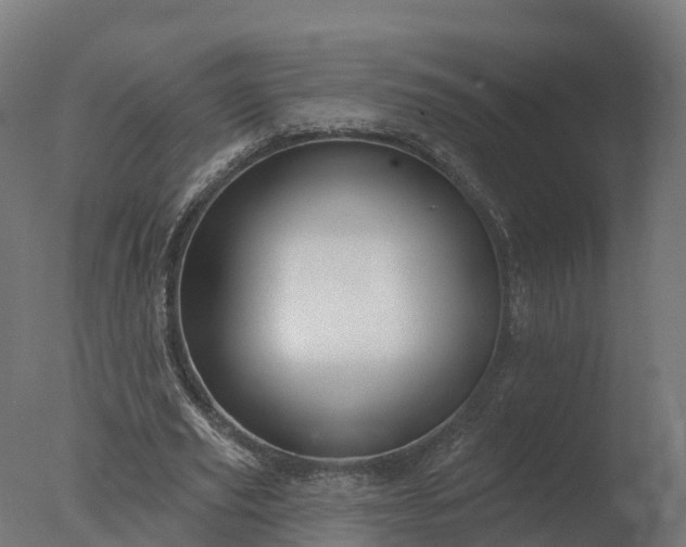 X0000077310629200610271644