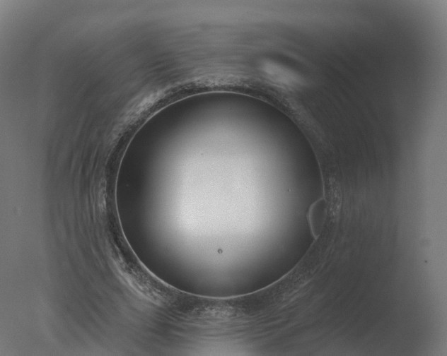 X0000077310631200610271644