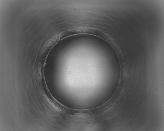 X0000077310633200610271644