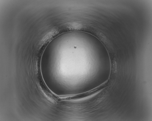 X0000077310638200610271644