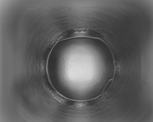 X0000077310662200610271645