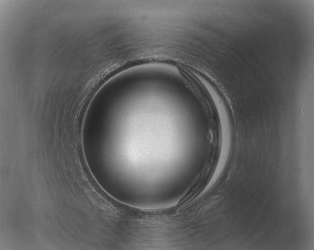 X0000077310673200610271644
