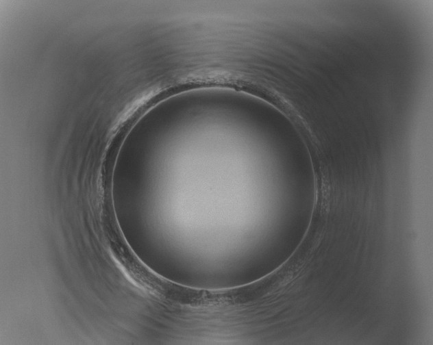 X0000077310674200610271644