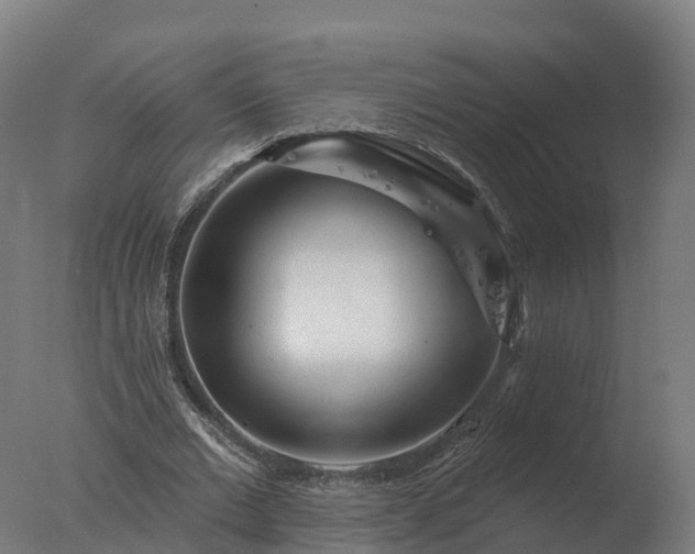 X0000077310677200610271644