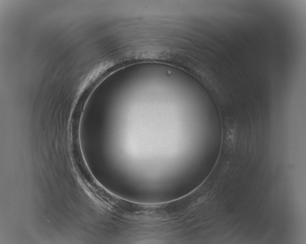X0000077310678200610271644
